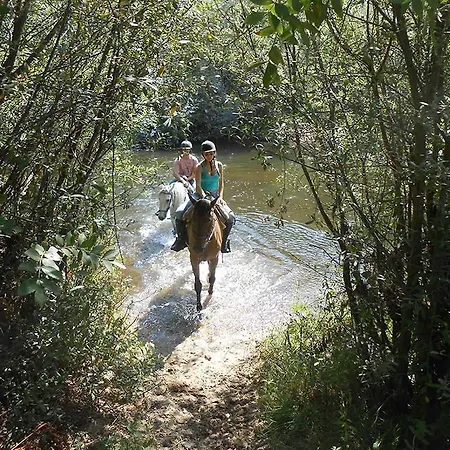 Rural La Plazuela Gospodarstwo wiejskie