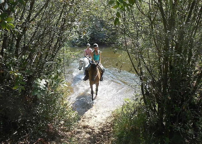 Rural La Plazuela Летний дом